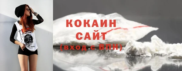 СК Алзамай
