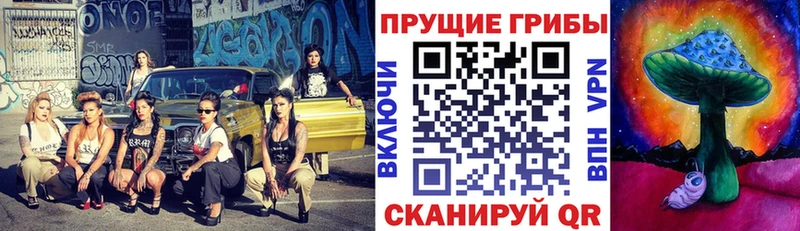 Псилоцибиновые грибы мухоморы Куровское